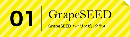 GrapeSEED  GrapeSEED バイリンガルクラス
